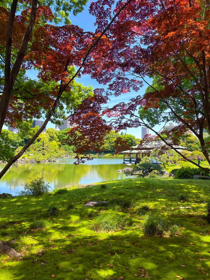 Untitled Untitled